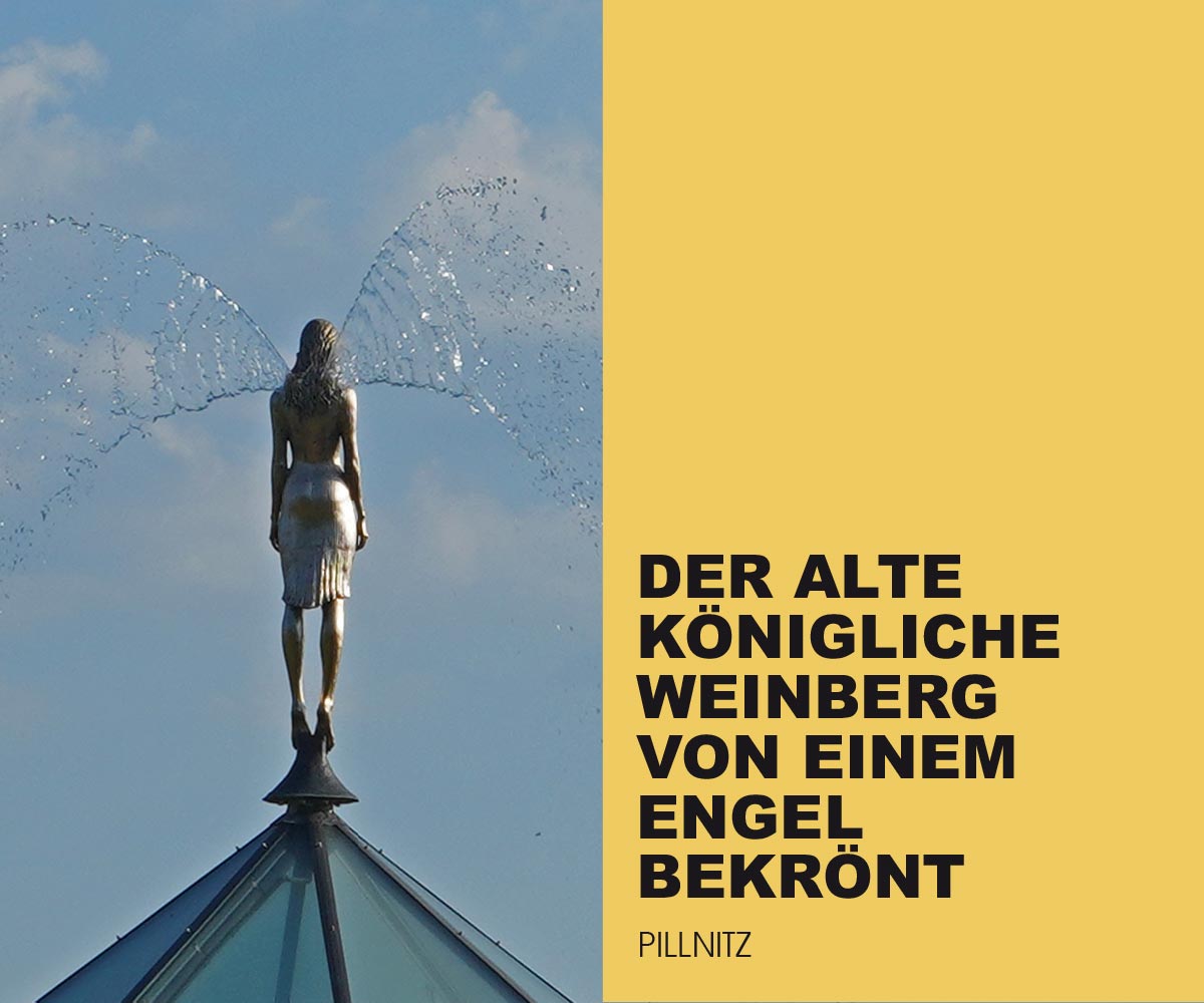 Pillnitz Weingut Zimmerliing Dach Installation